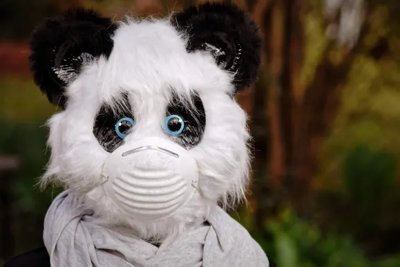 SilverPlay Kasino Sokongan